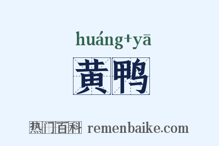黄鸭是什么意思的图片